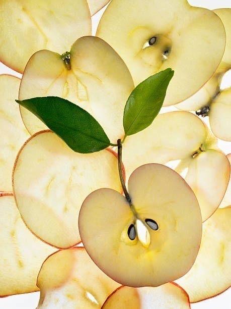 Field's Whisper: Seasonal Veggie Symphony